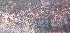 ts2x.jpg (3043 bytes)